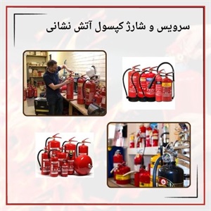 چرا خدمات سرویس و شارژ کپسول آتش نشانی فوری مهم است؟