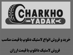 لاستیک دانلوپ و انواع آن